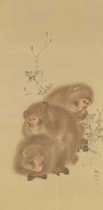Baboon Family (bläck och färger på silke)